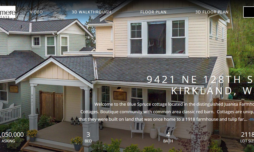 Spotlight Tour- Week #17